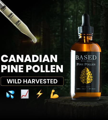 Pine Pollen Supplement for Women's Energy & Hormone Balance