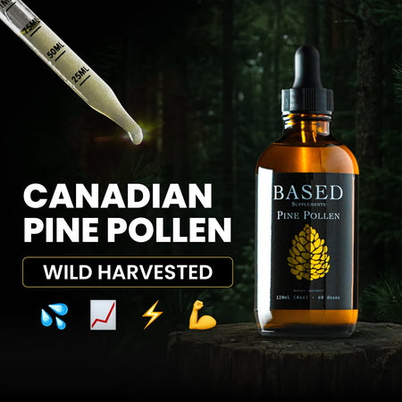 Pine Pollen Supplement for Women's Energy & Hormone Balance