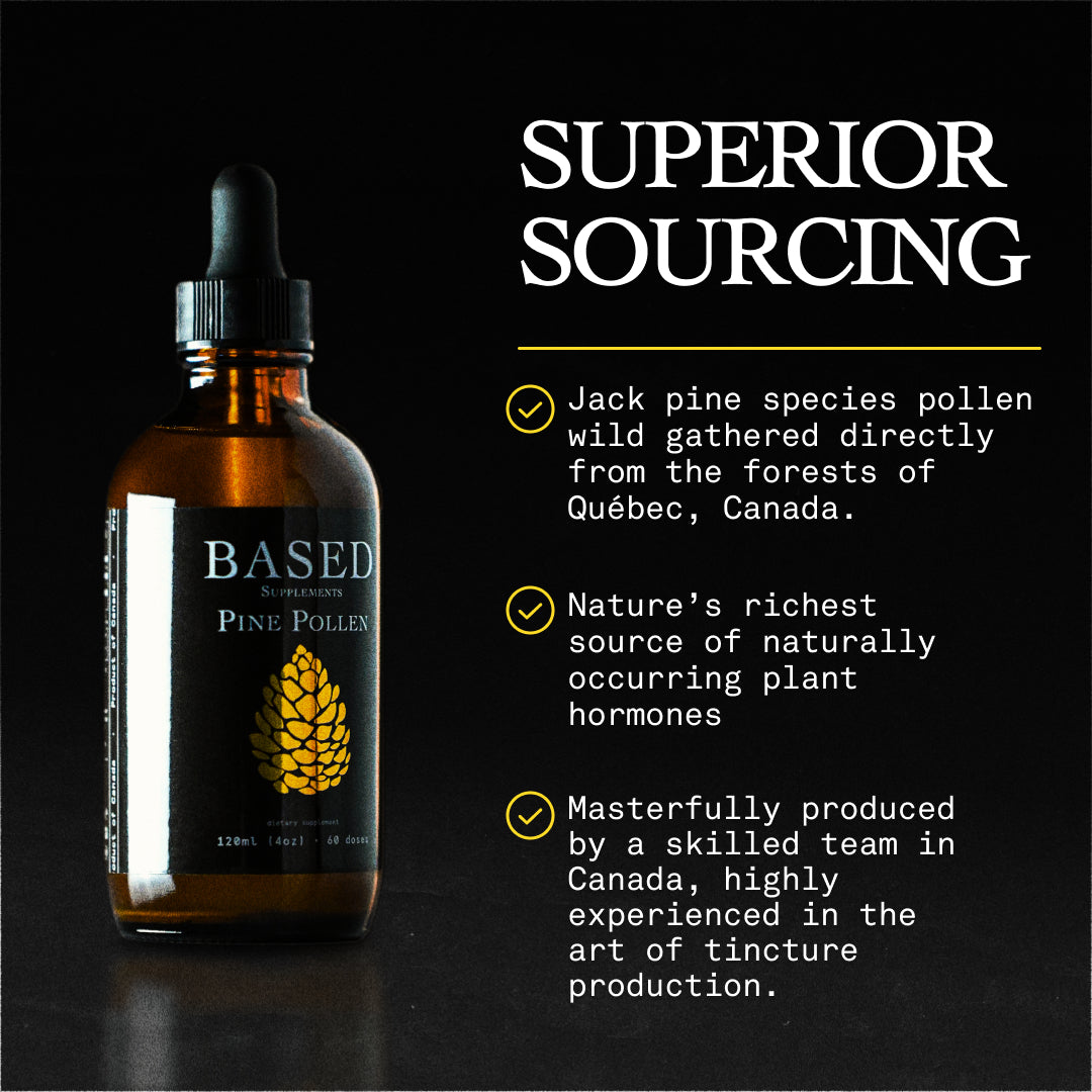 Pine Pollen Supplement for Women's Energy & Hormone Balance