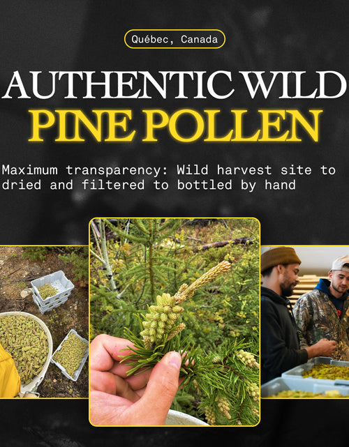 Load image into Gallery viewer, Pine Pollen Supplement for Women's Energy &amp; Hormone Balance

